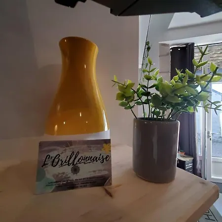 L'orillonnaise, Ensemble De 2 De 14 Personnes Oyre